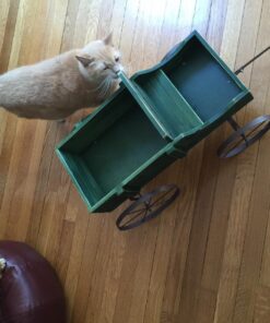 Collections Etc Amish Wagon Decorative Indoor/Outdoor Garden Backyard Planter, Green 37 713NW6LOt1L