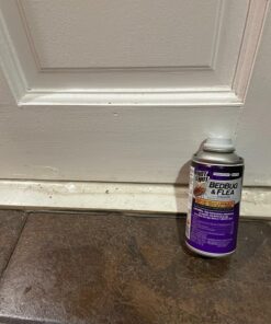 Hot Shot Bed Bug & Flea Fogger, 3 Count (Pack of 1), Kills Fleas Indoors, Get Rid of Fleas In House, Inhibits Reinfestation Up to 7 Months 1 Pack 26 713PlgT8FGL