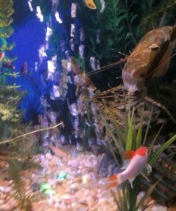 LONDAFISH Aquarium Bubble Light Aquarium Air Stone LED Light Air Pump Bubble Stone Lamp 23 713UUvC4MQL