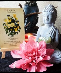 Botanical Inspirations Deck & Book Set 64 713aFlv66CL