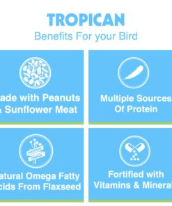 HARI Tropican Bird Food, Hagen Parrot Food with Peanuts & Sunflower Seeds, Maintenance Parrot Granules, Lifetime Formula, 1.8 lb Bag 1.8 Pound (Pack of 1) 15 713al7YXfPL