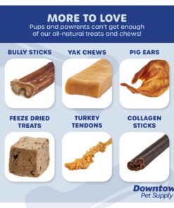 Downtown Pet Supply Yak Cheese Himalayan Dog Chews (1 lb) - 100% Natural, 3 Ingredients, USA Packed - Protein & Calcium Rich Dog Treats for Small to Large Dogs - Long Lasting Rawhide Free Yak Chews 1.00 Pound (Pack of 1) 30 713asBvItAL