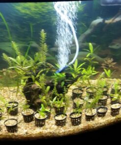 Finnex Planted 24/7 Fully Automated Aquarium LED, 36-Inch Not Controllable 36 Inch 25 713elRFdwUL