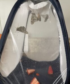 RESTCLOUD Mini Butterfly Habitat, Insect Mesh Cage, Bug Terrarium Pop Up 7.5" x 11" Tall 7.5" x 11" 26 713h5C4C2EL