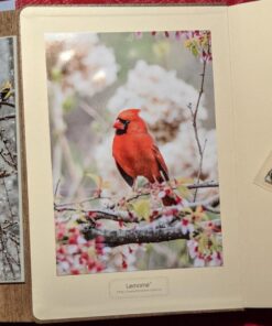 Lemome Thick Notebook - Eco-Friendly Natural Cork Hardcover Writing Notebook with Pen Loop & Premium Thick Paper + Page Dividers Gifts, A5 (5x8) Bound Notebook 44 713hblS6JlL