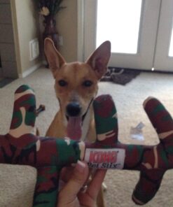 KONG PetStix Assorted Lg Large Standard Packaging 21 713hoETAP6L