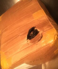 Crystal Allies 2 Natural Himalayan Salt Lamp w/Bulb, Dimmer Cord 22 713iDJAwy7L