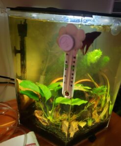 Alternative view of SunGrow Betta Leaves, 8”, 10 Pcs Beneficial Large Catappa Indian Almond Leaves for Overall Development in Fish Tank Aquarium, Water Conditioner Leaves Lower pH Large (8", 10 pack)