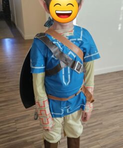Link Breath Of The Wild Deluxe Costume, Blue, Small (4-6) Small (4-6) 21 713ly2VMUSL