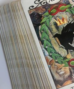 Crow Tarot 43 713u4n9wgvL