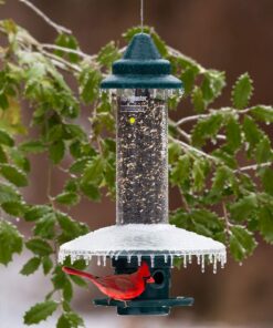 Alternative view of Weather Guard for Squirrel Buster Plus Bird Feeder (FEEDER NOT INCLUDED) 13" Diameter