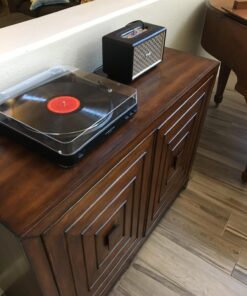 TEWELL Speaker for Turntable, HD 24W Audio Vintage Wireless Speakers Plug-in Speaker with Extended Bass and Treble, Knob for Volume Control, Toggle Switch and 3.5mm AUX Input Black 39 713z1vqFcL