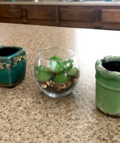 MyGift Assorted Artificial Succulent Fake Plant in Small Clear Glass Display Vases, Set of 4 35 7141mX2zbUL