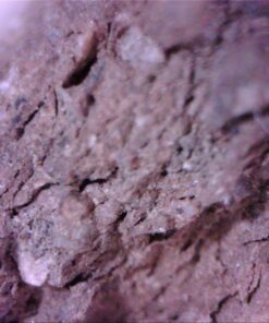 Vividia USB Digital Borescope Microscope with Professional Multi-Functional Metal Stand 12mm Diameter OTG Android and USB PC 29 7141ogAMqEL