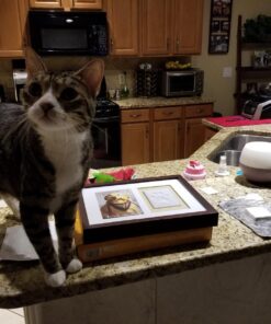 Pearhead Dog Or Cat Paw Prints Pet Wall Frame With Clay Imprint Kit, Pet Sentiment Keepsake Frame, Pet Memorial Picture Frame, Espresso 4 x 6" 34 7144nRlxcyL