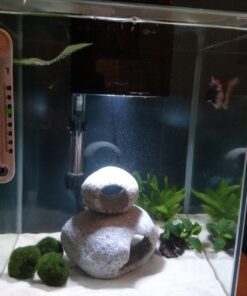 Fluval Chi II Series Aquarium Set, 5-Gallon - Aquarium Tank with Ambient LED Lighting, Flowing Water, and Elegant Design, White 5 gal 51 7145QC1Y5AL