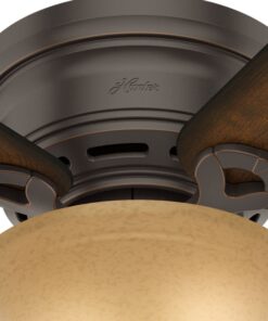 Hunter Fan Company, 51023, 42 inch Conroy Onyx Bengal Low Profile Ceiling Fan with LED Light Kit and Pull Chain Onyx Bengal finish 26 7145qftGWrL