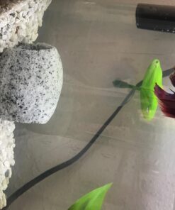 Penn-Plax Deco-Replicas Granite Aquarium Ornament & Hideaway – Realistic Stone Appearance – Safe for Freshwater and Saltwater Tanks – Small Size, White (RR1071) 43 7146qAgxkKL