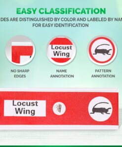 AMSCOPE-Kids 48pcs Kids Plastic Prepared Microscope Slides of Animals Insects Plants Flowers Sample Specimens for Stereo Microscopes 10 7147 4dSWJL