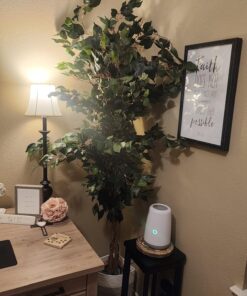 Nearly Natural 6ft. Ficus Artificial Trees, 72in, Green 72 in 32 7148rS3TZZL