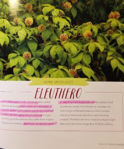 Healing Herbal Teas: Learn to Blend 101 Specially Formulated Teas for Stress Management, Common Ailments, Seasonal Health, and Immune Support 20 714DJzfKZ1L