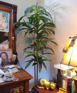 Nearly Natural 6596 6ft. Dracaena Silk Plant (Real Touch),Green 33 714Eg5YOWdL