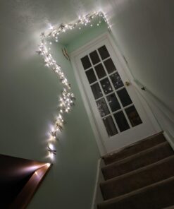 Lighting EVER Fairy Lights Plug in, 33ft 100 LED String Lights for Bedroom, Warm White Copper Wire Lights, Waterproof Indoor Outdoor Decorative Fairy Lights for Patio, Garden, Balcony, Vases, Craft 33 ft 46 714EyNs9xTL