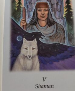 Vision Quest Tarot 43 714GTmfIlsL