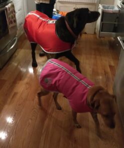 Zack & Zoey Nor'Easter Blanket Coat, Large, Blue 1 Dark Blue 41 714GbjNfXJL 2