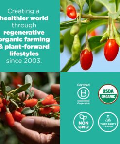 Navitas Organics Goji Berries, 16 oz. Bag, 15 Servings — Organic, Non-GMO, Sun-Dried, Sulfite-Free 1 Pound (Pack of 1) 16 714H6TdLxL