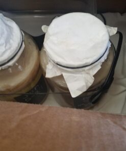 1 Gallon Glass Kombucha Jar - Home Brewing and Fermenting Kit with Cheesecloth Filter, Rubber Band and Plastic Lid - By Kitchentoolz 19 714KBQS6DiL