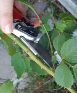 Carbon Steel Bypass Garden Shears - Ultra Sharp Blades with Safety Lock & Comfort Grip - Hand Trimmer with Sap Groove Easily Cuts Through Branches & Stems for Indoor & Outdoor Use 57 714MkEEZrYL