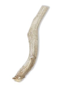 Alternative view of Prairie Dog Pet Products Deer Large Antler Treat, 8-9"