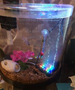 Tetra ColorFusion Starter aquarium Kit 3 Gallons, Half-Moon Shape, With Bubbler And Color-Changing Light Disc 65 714OPRiWk4L