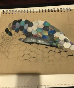 Caran d'Ache Luminance 6901 Clr Pncl Set 76 Artist Rng Pencil Set 56 714Px1OZmqL