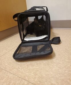 Amazon Basics Soft-Sided Mesh Pet Travel Carrier for Dog, Cat, Medium, 16.5"L x 9.4"W x 9.8"H, Black Without Wheels 45 714SV9xCtzL