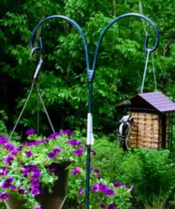 More Birds Double Suet Cage Bird Feeder with Metal Roof, Fruit and Suet Feeder, 2 Suet Cake Capacity Brown Double Cage 32 714TSdnkfVL