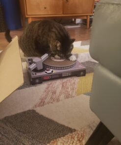 Suck UK Cat Scratcher ; Dj Cat Scratch Turntable ; Cardboard Cat House ; Cat Scratch Pad ; Cat Scratcher House & Cat Playhouse ; Novelty Interactive Cat Toys For Indoor Cats ; Funny Cat Accessories 37 714WvZ9FEML