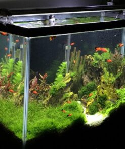Finnex Planted 24/7 Fully Automated Aquarium LED, 36-Inch Not Controllable 36 Inch 41 714XtnVErrL
