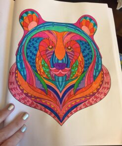 Adult Coloring Book: Stress Relieving Animal Designs 66 714YFOddWyL