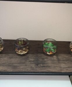 MyGift Assorted Artificial Succulent Fake Plant in Small Clear Glass Display Vases, Set of 4 41 714YXPQSQL