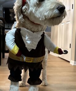 NACOCO Pet Dog Costume Pirates of The Caribbean Style (Large) L Brown 27 714YrEdy7L