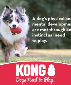 KONG - Extreme Ball - Durable Rubber Dog Toy for Power Chewers, Black - for Medium/Large Dogs 24 714aS2FVHOL