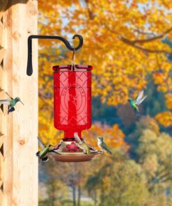 BOLITE Hummingbird Feeder, 18005 Glass Hummingbird Feeders for Outdoors Hanging, 5 Feeding Stations, 22 Ounces, Red Bottle, Xmas Gifts for Bird Lovers Red Elixir Bottle 30 714aoFfOrAL