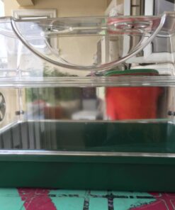 EarlyGrow 93763 Medium Seed and Herb Domed Propagator with Vented Side Height Extension, Extender, Green Medium with Side Extender 54 714axtjbRpL