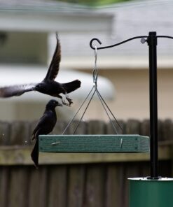 Woodlink Going Green Platform Bird Feeder Model GGPLAT 50 714bGzLZ 6L