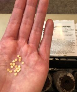 Hot Pepper Seeds - Organic Heirloom Chili Seed Variety Pack for Planting - Cayenne, Jalapeno, Habanero, Poblano, and More 39 714djZ0y27L