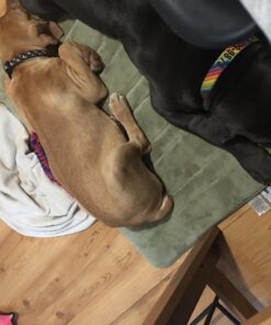 Himalayan Pet Supply Cheese Chews|Long Lasting, Stain Free, Protein Rich, Low Odor|100% Natural, Healthy & Safe|No Lactose, Gluten Or Grains|for Dogs 55 Lbs&Brown,X-Large(521015),5.3 Ounce (Pack of 1) 5.3 Ounce (Pack of 1) 52 714flcMrxqL 1