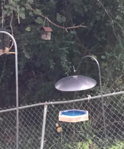 More Birds Double Suet Cage Bird Feeder with Metal Roof, Fruit and Suet Feeder, 2 Suet Cake Capacity Brown Double Cage 46 714pxEzLaIL