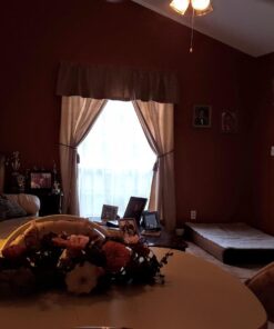 Nearly Natural 4665 Mixed Mini Peony Centerpiece Silk Flower Arrangement,10"D x 34"W x 6.5"H 10"D x 34"W x 6.5"H 44 714rhFiD5L